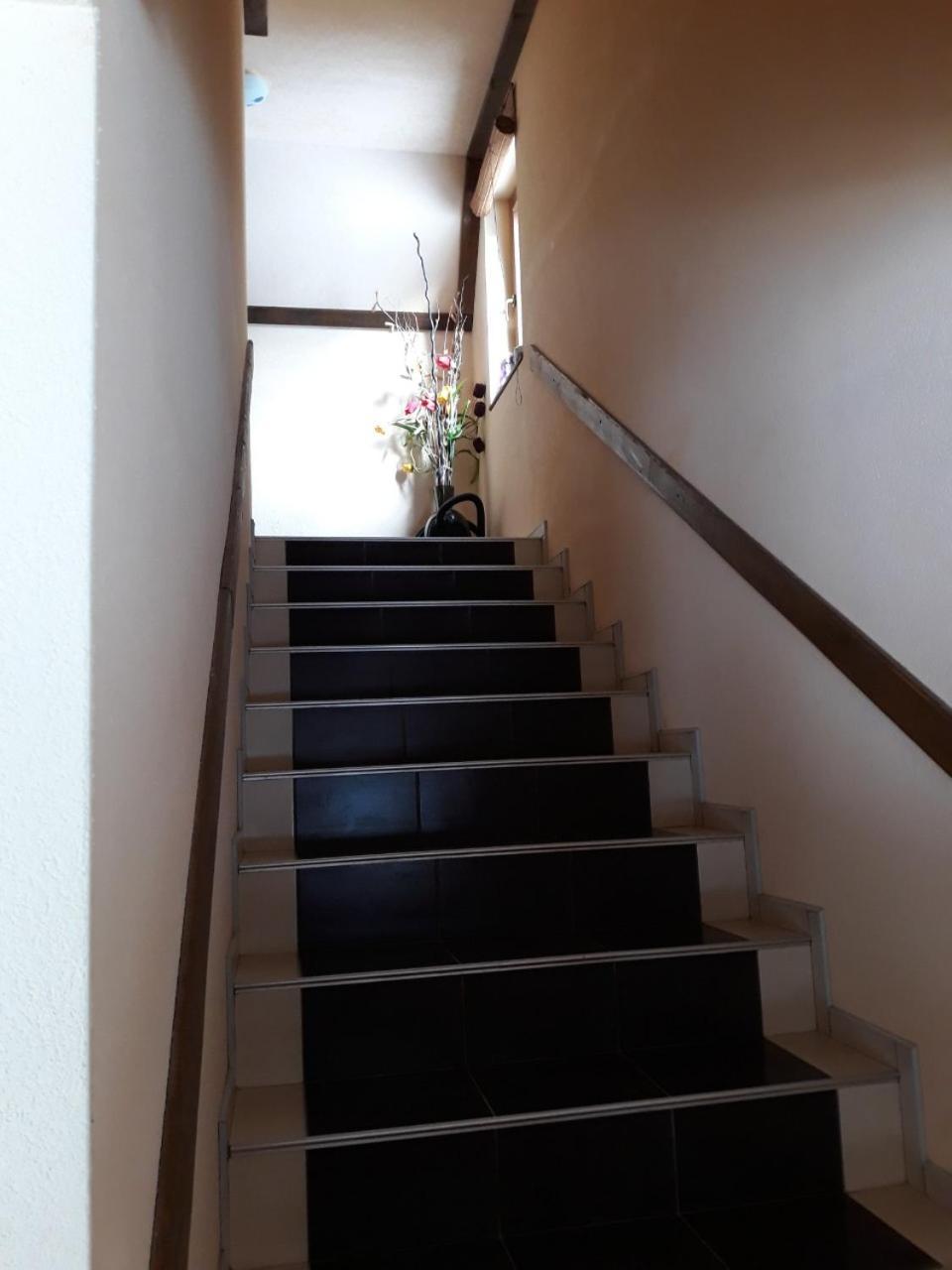 Apartments Vucko วลาซิส ภายนอก รูปภาพ